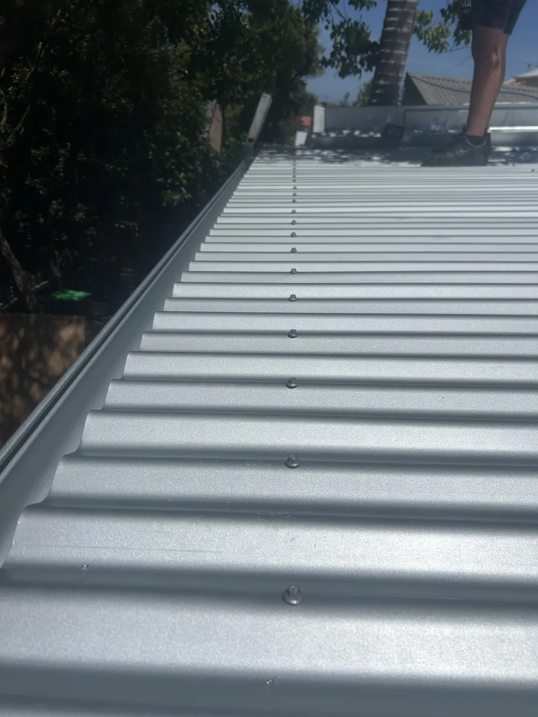 Looking up a run of new corrugated sheeting, fixings set in a line along the crest