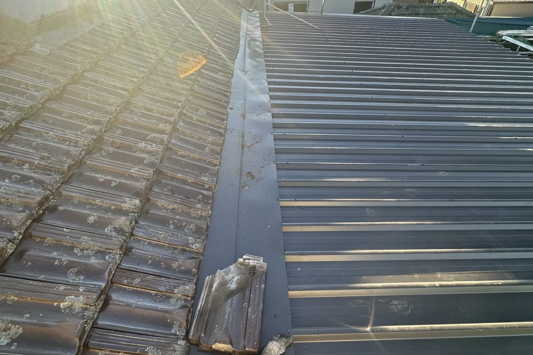 An ageing corrugated roof in low sun, weathered sheeting, moss in the pans and a broken tile left lying on it